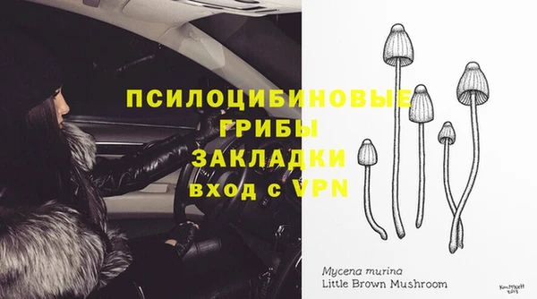 ALPHA-PVP Алексин