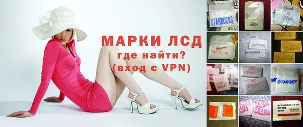 хмурый Няндома
