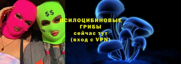 PSILOCYBIN Алексеевка