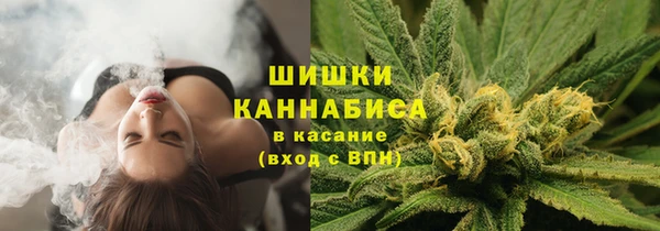 PSILOCYBIN Алексеевка
