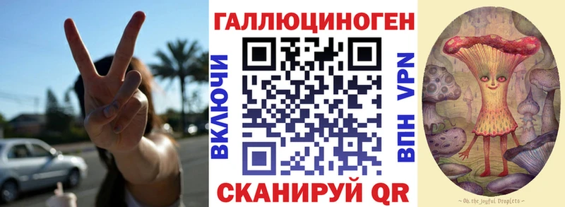 KRAKEN ссылка  как найти закладки  Суровикино  Псилоцибиновые грибы мицелий 